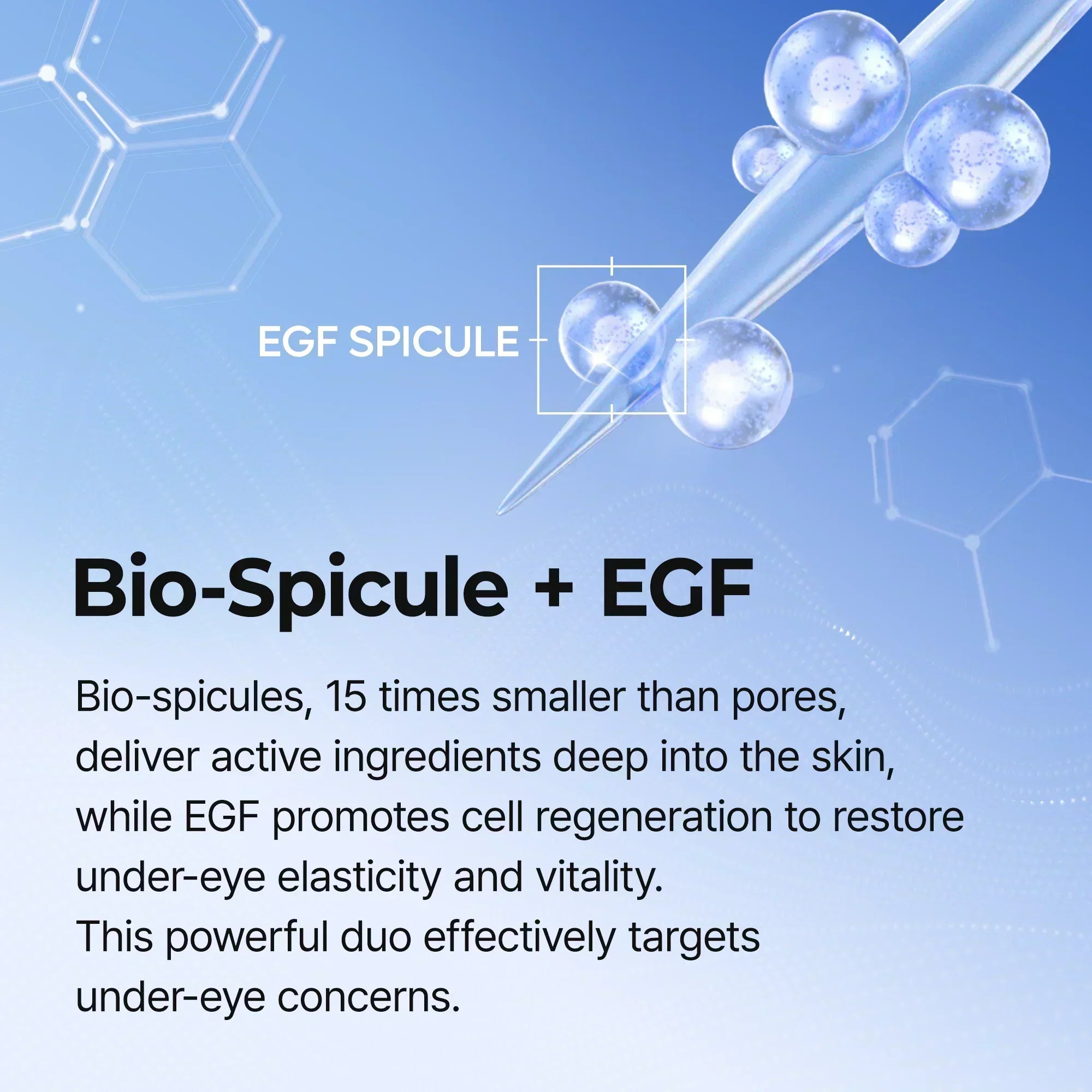 Bio-Spicule + EGF — spicules 15 times smaller than pores